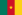 Flag of Cameroon